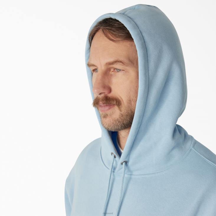 Heren Dickies Uniontown-hoodie normaal kleding 6F0X1094