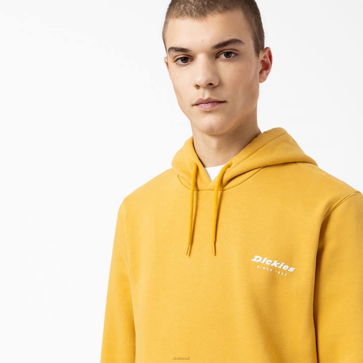 Heren Dickies camden box grafische hoodie normaal kleding 6F0X1166