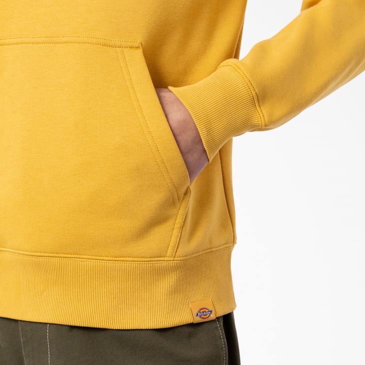 Heren Dickies camden box grafische hoodie normaal kleding 6F0X1166