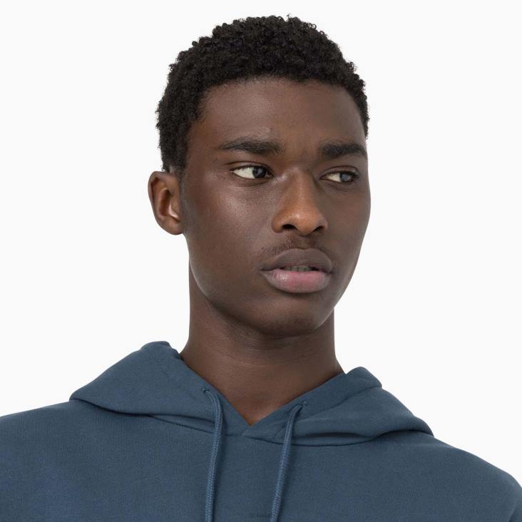 Heren Dickies haverveld hoodie luchtmacht blauw (af) kleding 6F0X1169