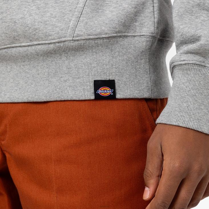 Heren Dickies hoodie met Union Springs-logo normaal kleding 6F0X1151