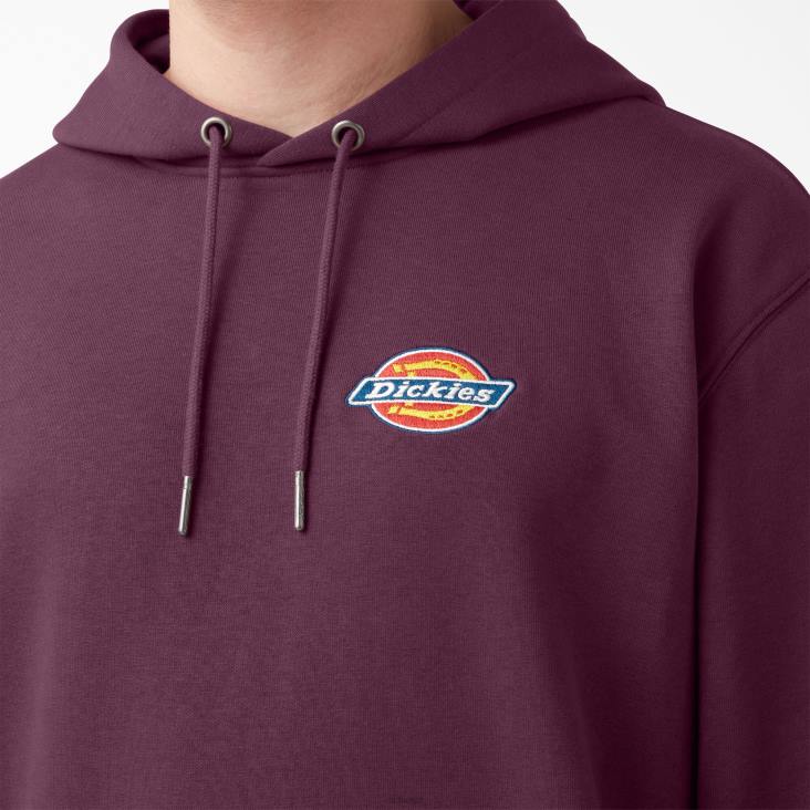 Heren Dickies hoodie met geborduurd logo op de borst normaal kleding 6F0X1207