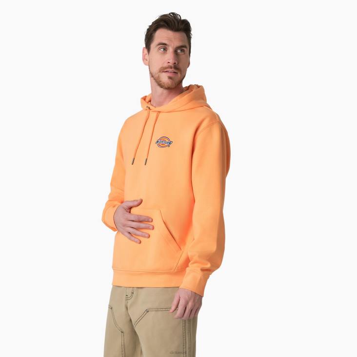 Heren Dickies hoodie met geborduurd logo op de borst normaal kleding 6F0X1210