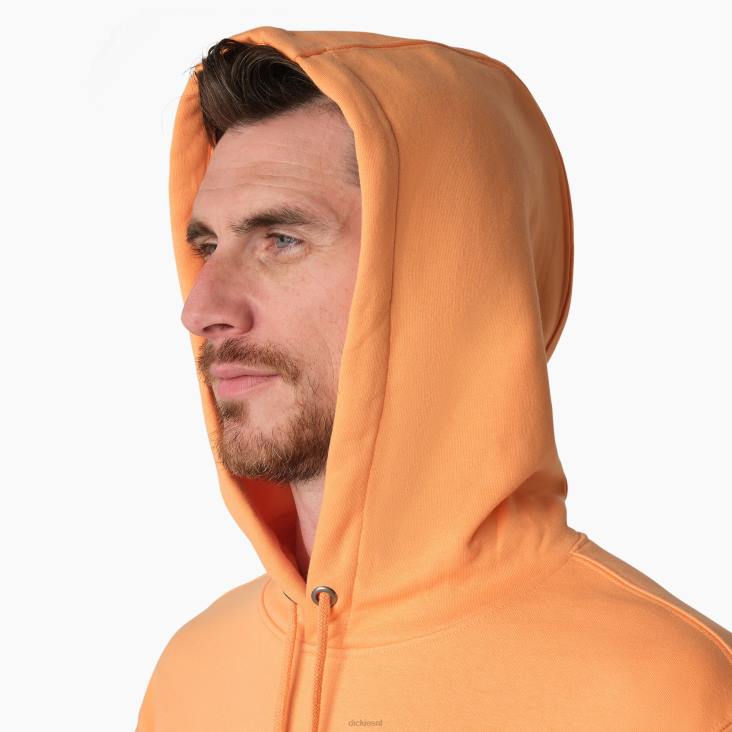 Heren Dickies hoodie met geborduurd logo op de borst normaal kleding 6F0X1210