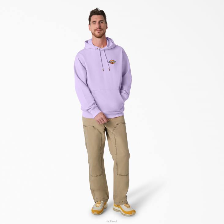 Heren Dickies hoodie met geborduurd logo op de borst normaal kleding 6F0X1211