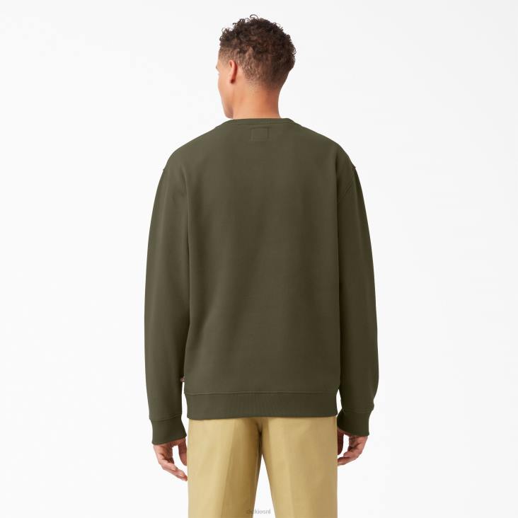 Heren Dickies sweatshirt met fleece-logo en grafische print normaal kleding 6F0X1213