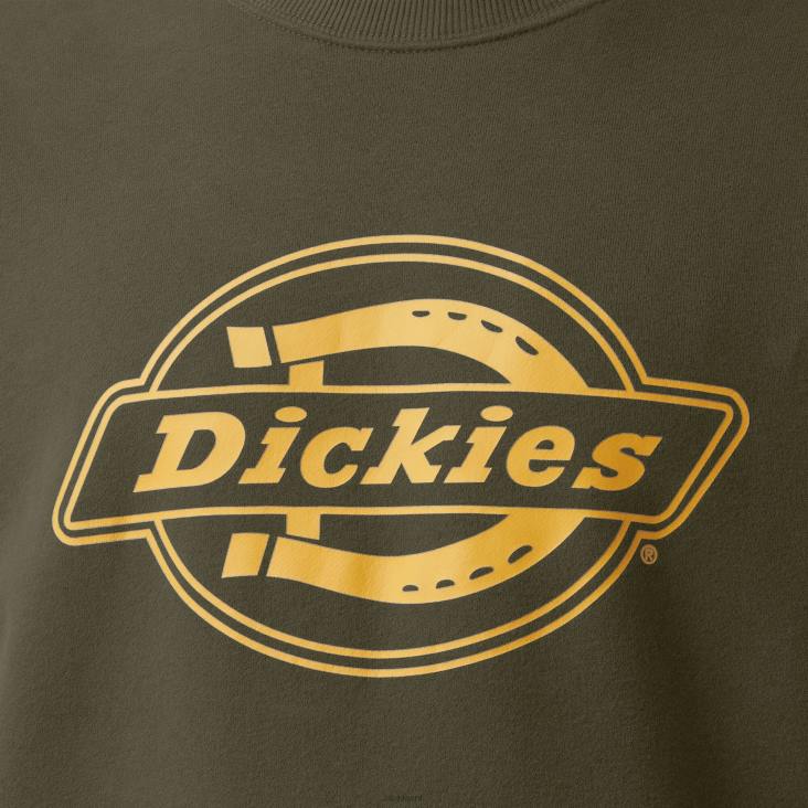 Heren Dickies sweatshirt met fleece-logo en grafische print normaal kleding 6F0X1213