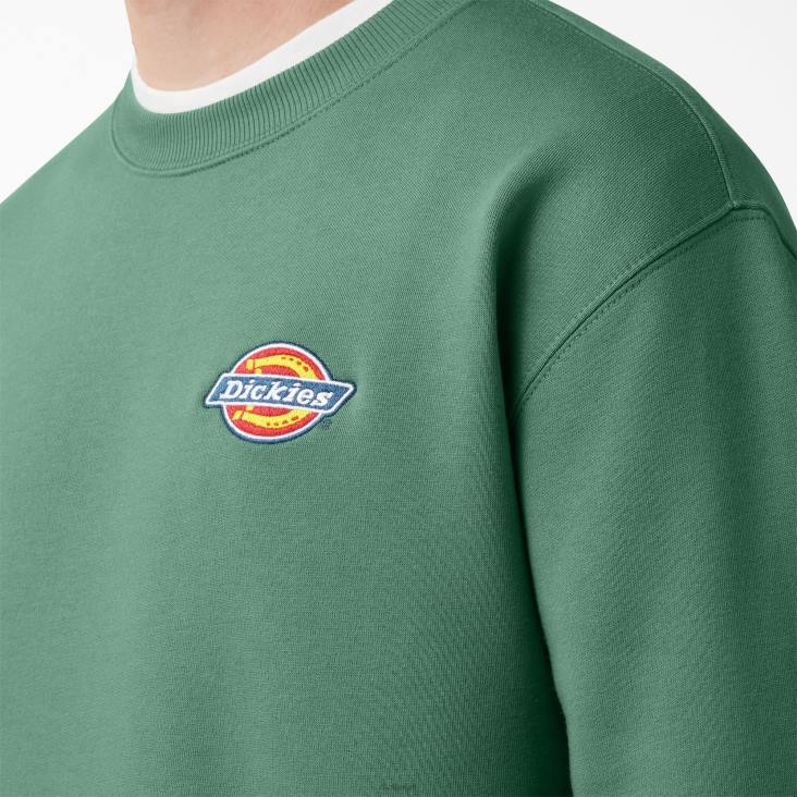Heren Dickies sweatshirt met geborduurd logo op de borst normaal kleding 6F0X1130