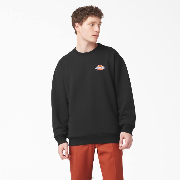 Heren Dickies sweatshirt met geborduurd logo op de borst normaal kleding 6F0X1132