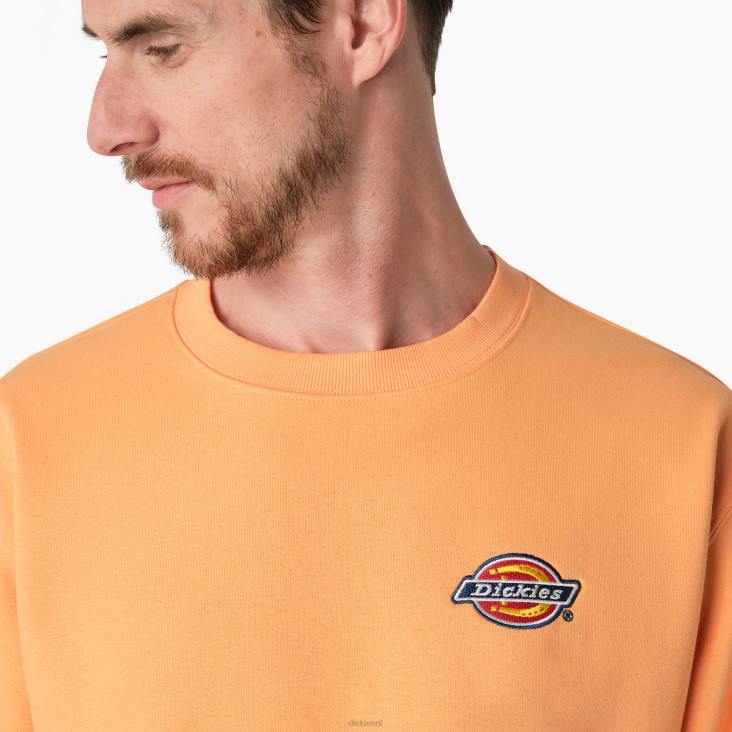 Heren Dickies sweatshirt met geborduurd logo op de borst normaal kleding 6F0X1133