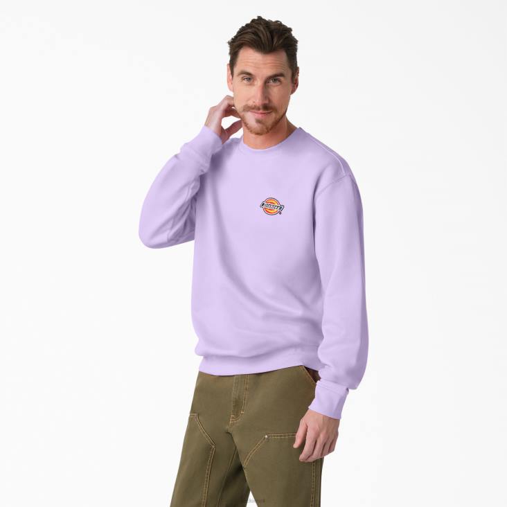 Heren Dickies sweatshirt met geborduurd logo op de borst normaal kleding 6F0X1134