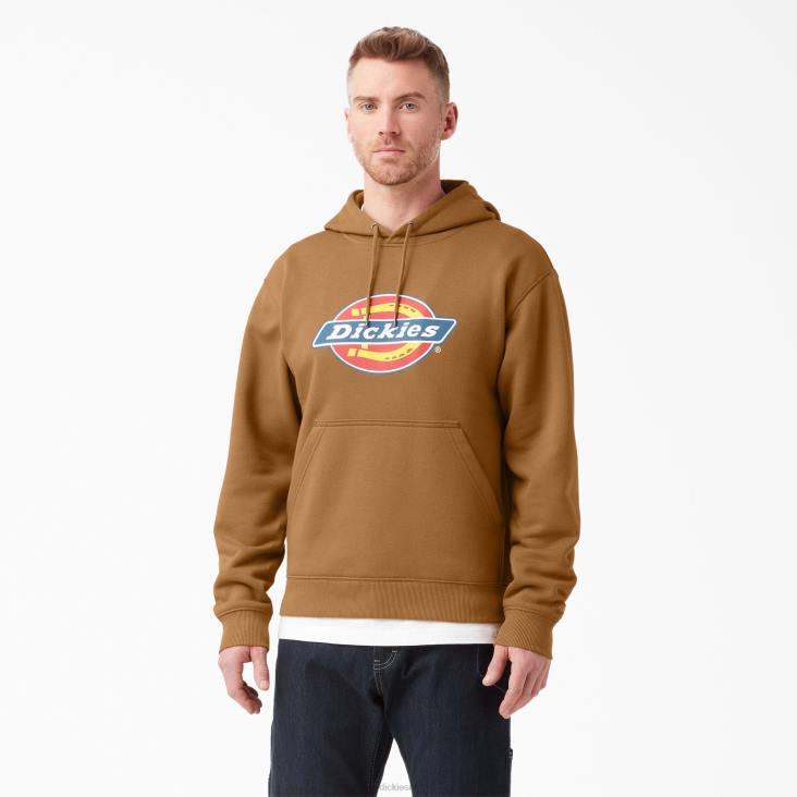 Heren Dickies waterafstotende driekleurige hoodie met logo bruine eend (bd) kleding 6F0X1104