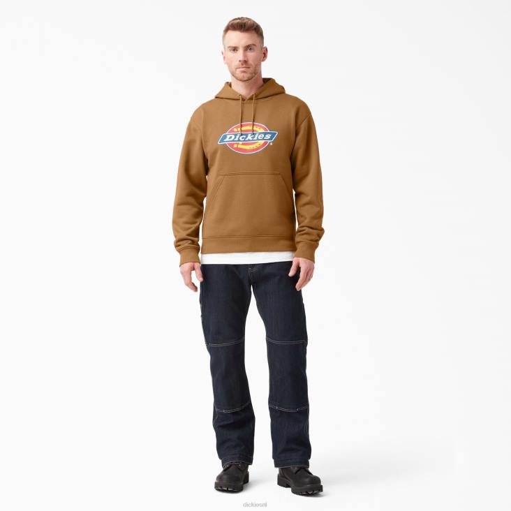 Heren Dickies waterafstotende driekleurige hoodie met logo bruine eend (bd) kleding 6F0X1104