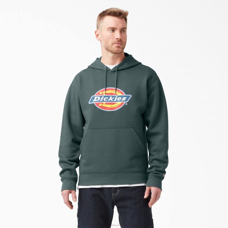 Heren Dickies waterafstotende driekleurige hoodie met logo lincoln groen (ln) kleding 6F0X1108