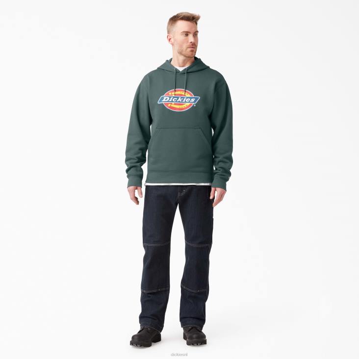 Heren Dickies waterafstotende driekleurige hoodie met logo lincoln groen (ln) kleding 6F0X1108