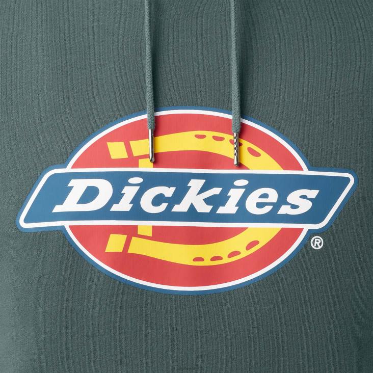 Heren Dickies waterafstotende driekleurige hoodie met logo lincoln groen (ln) kleding 6F0X1108