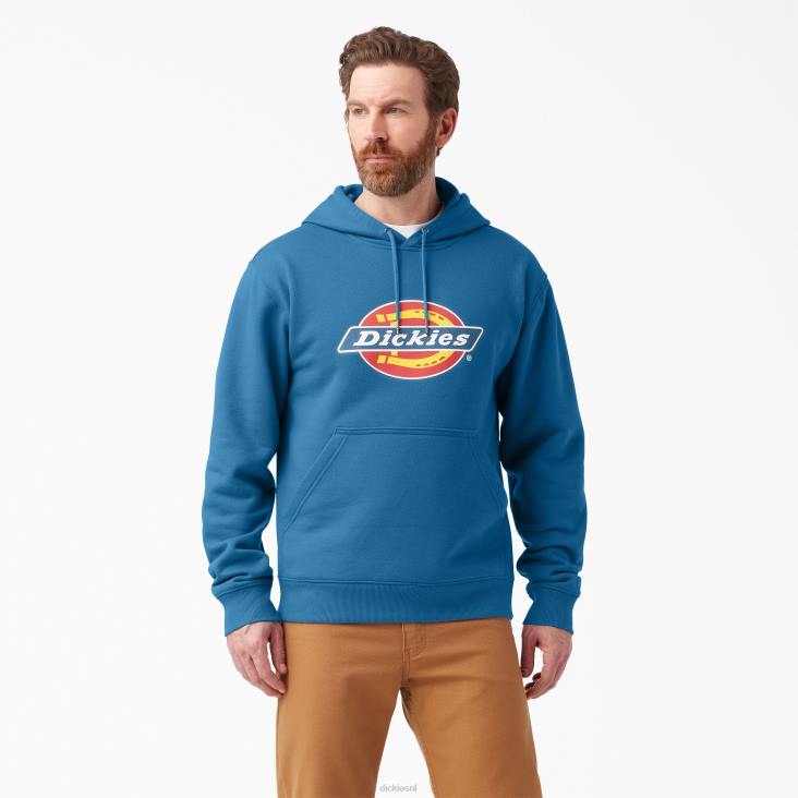 Heren Dickies waterafstotende driekleurige hoodie met logo vallarta blauw (v2b) kleding 6F0X1110