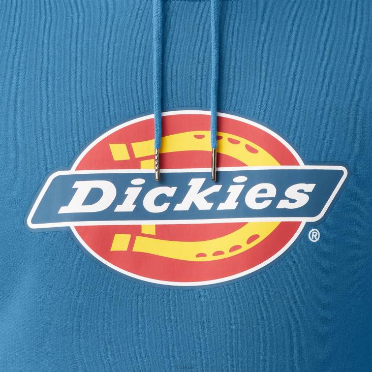 Heren Dickies waterafstotende driekleurige hoodie met logo vallarta blauw (v2b) kleding 6F0X1110