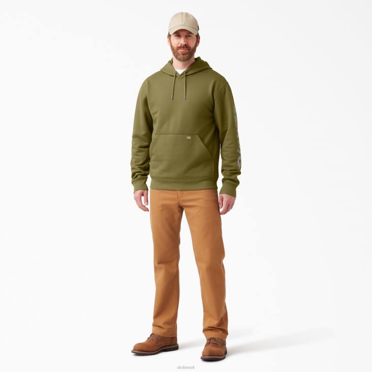 Heren Dickies waterafstotende hoodie met logo op de mouw groen mos (g2m) kleding 6F0X1037