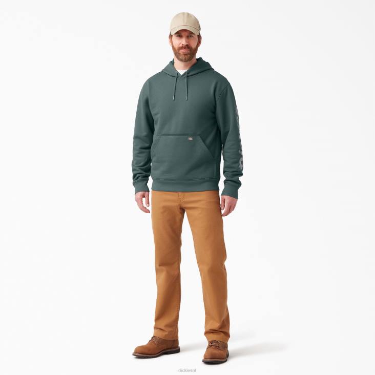 Heren Dickies waterafstotende hoodie met logo op de mouw lincoln groen (ln) kleding 6F0X1041