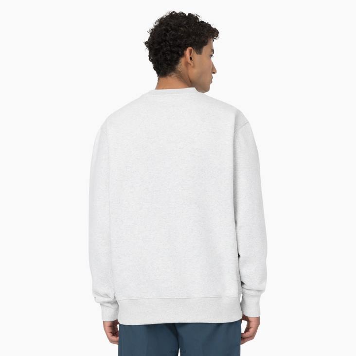 Heren Dickies zomers sweatshirt grijs gespikkeld (hg) kleding 6F0X974