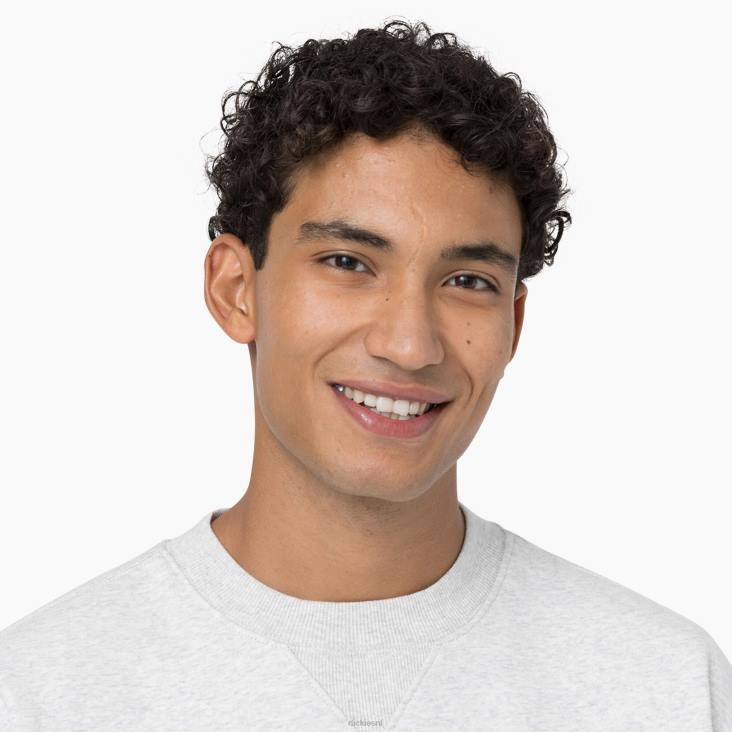 Heren Dickies zomers sweatshirt grijs gespikkeld (hg) kleding 6F0X974