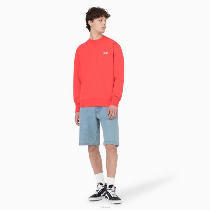 Heren Dickies zomers sweatshirt scharlaken ibis (s2s) kleding 6F0X976