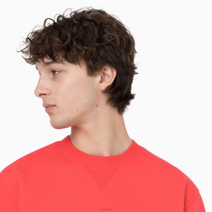 Heren Dickies zomers sweatshirt scharlaken ibis (s2s) kleding 6F0X976