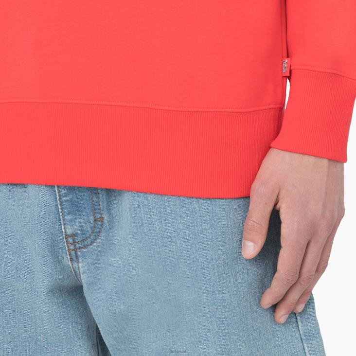 Heren Dickies zomers sweatshirt scharlaken ibis (s2s) kleding 6F0X976