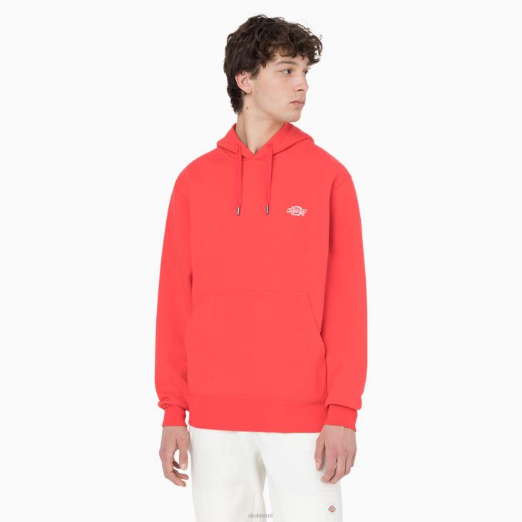 Heren Dickies zomerse hoodie scharlaken ibis (s2s) kleding 6F0X1184