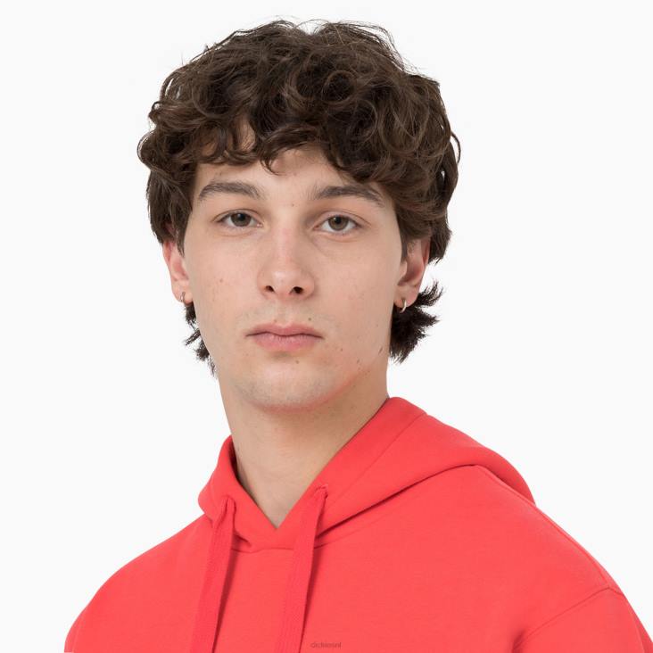 Heren Dickies zomerse hoodie scharlaken ibis (s2s) kleding 6F0X1184