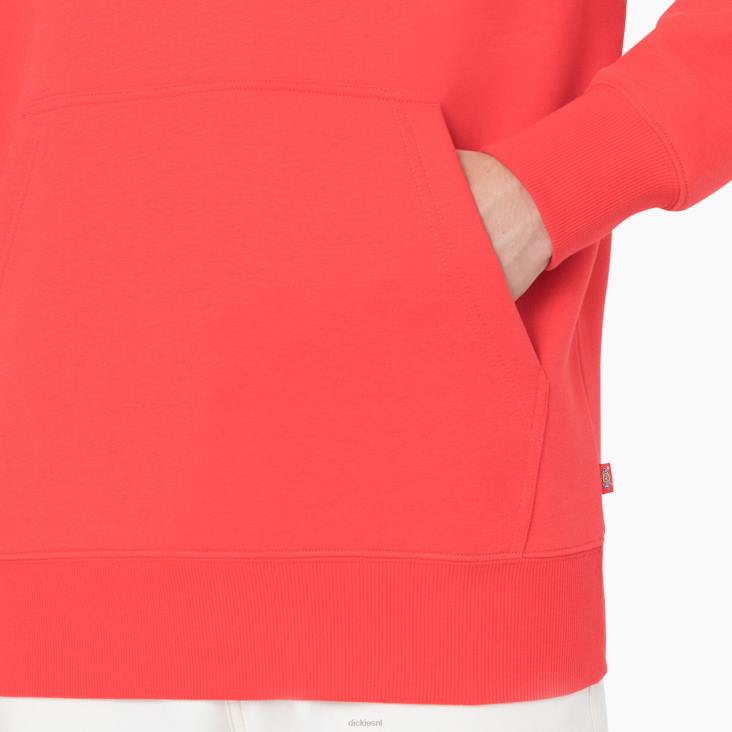 Heren Dickies zomerse hoodie scharlaken ibis (s2s) kleding 6F0X1184