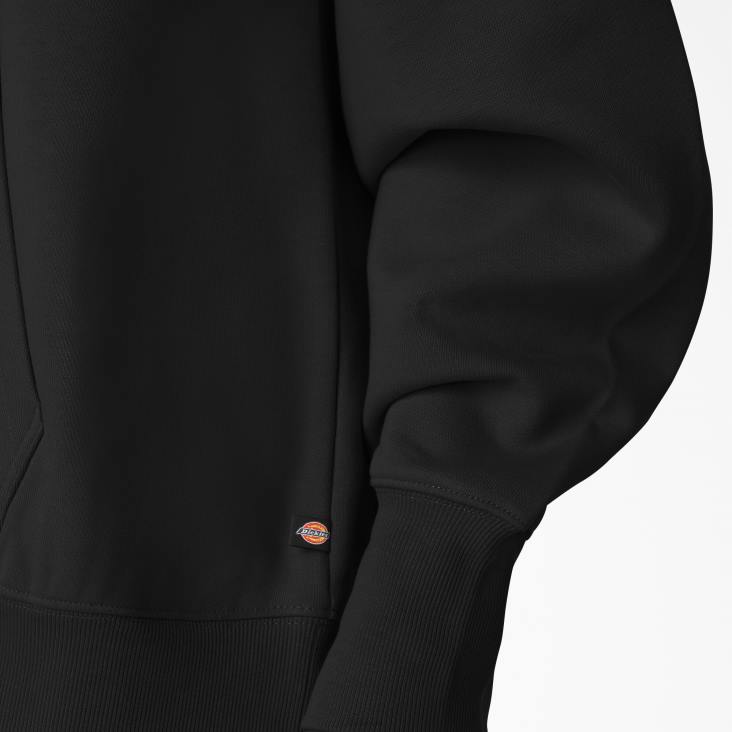 vrouwen Dickies creswell-hoodie zwart (kbk) kleding 6F0X2355