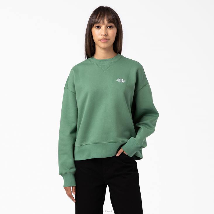 vrouwen Dickies zomers sweatshirt donkere klimop (d2i) kleding 6F0X2291