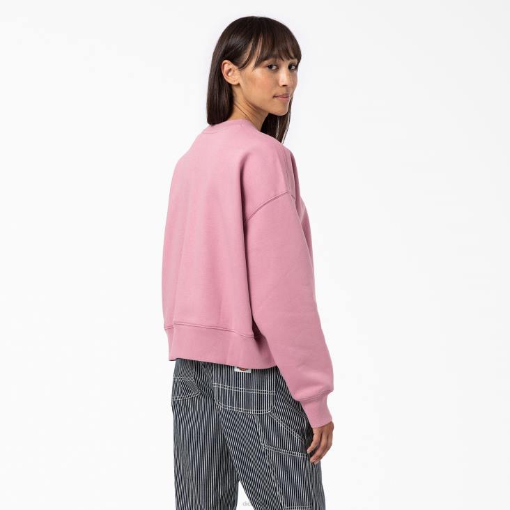 vrouwen Dickies zomers sweatshirt vingerhoedskruid (f2g) kleding 6F0X2292