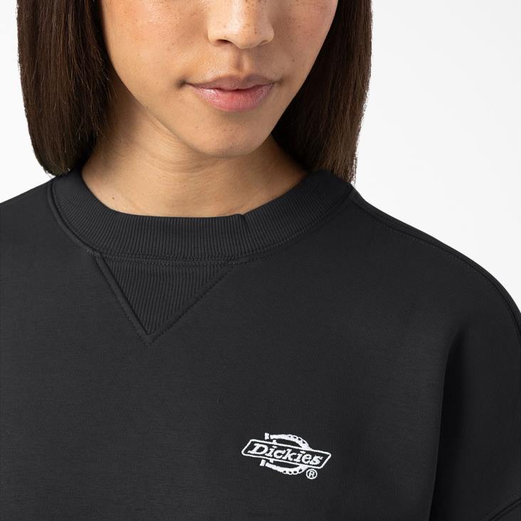 vrouwen Dickies zomers sweatshirt zwart (kbk) kleding 6F0X2293