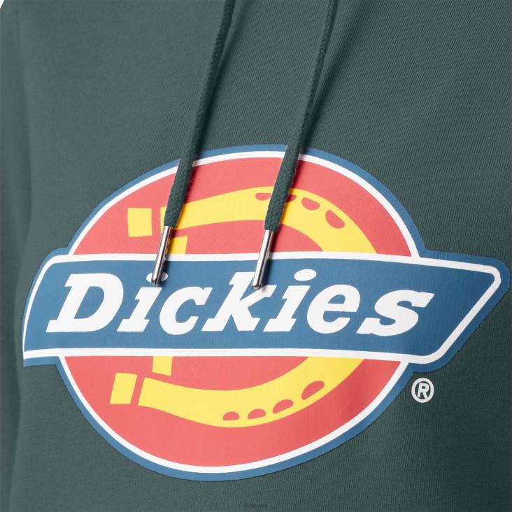 vrouwen Dickies zwaargewicht logo pullover lincoln groen (ln) kleding 6F0X2332
