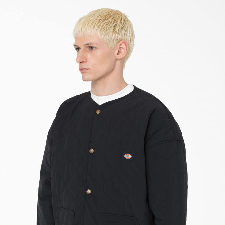 Heren Dickies Thorsby voering jack zwart (bkx) kleding 6F0X1111