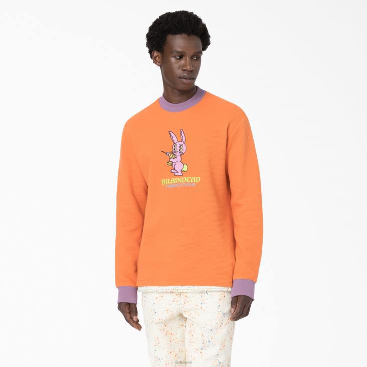 Heren Dickies hersendode geborduurde wafel gebreide trui gebrande sinaasappel (to1) kleding 6F0X731