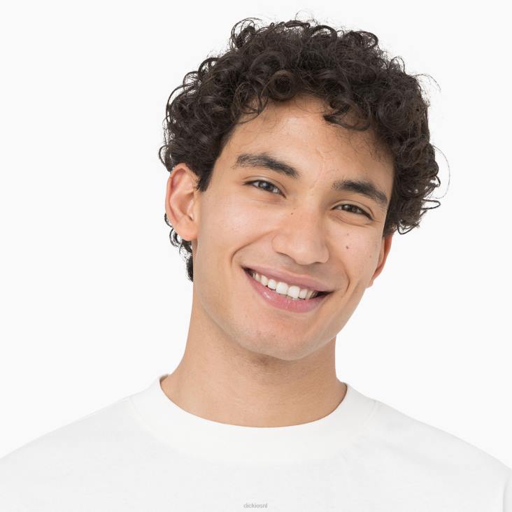 Heren Dickies oatfield t-shirt met lange mouwen wolk (cl9) kleding 6F0X805