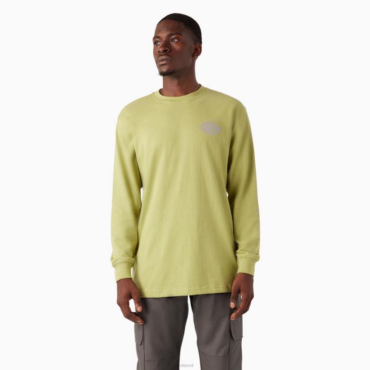 Heren Dickies zwaargewicht T-shirt met logo en lange mouwen varenheide (f2h) kleding 6F0X869