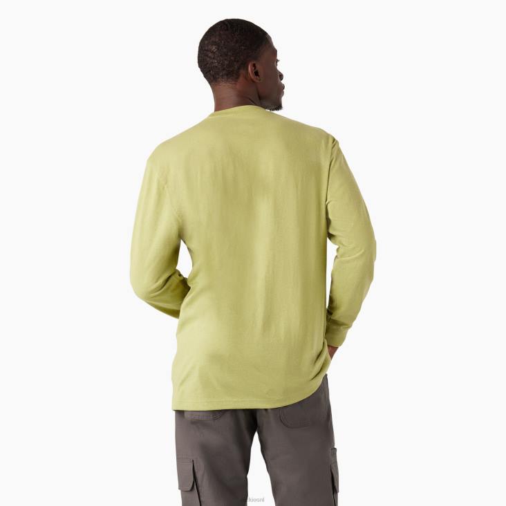 Heren Dickies zwaargewicht T-shirt met logo en lange mouwen varenheide (f2h) kleding 6F0X869