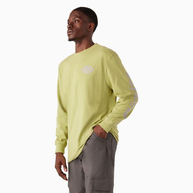 Heren Dickies zwaargewicht T-shirt met logo en lange mouwen varenheide (f2h) kleding 6F0X869