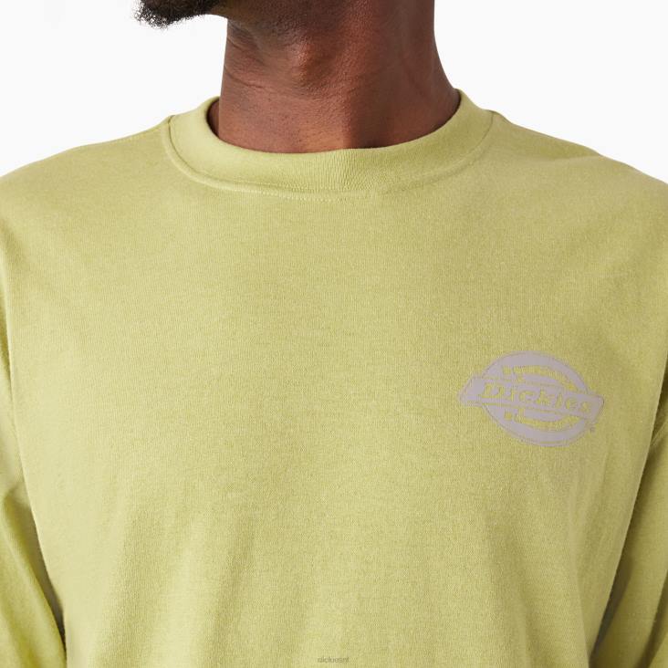 Heren Dickies zwaargewicht T-shirt met logo en lange mouwen varenheide (f2h) kleding 6F0X869