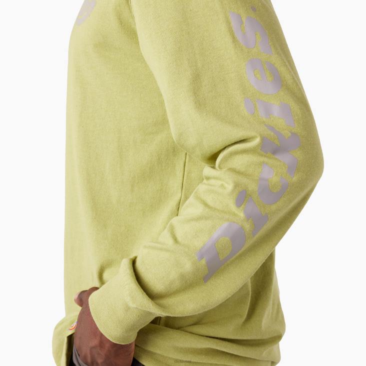 Heren Dickies zwaargewicht T-shirt met logo en lange mouwen varenheide (f2h) kleding 6F0X869