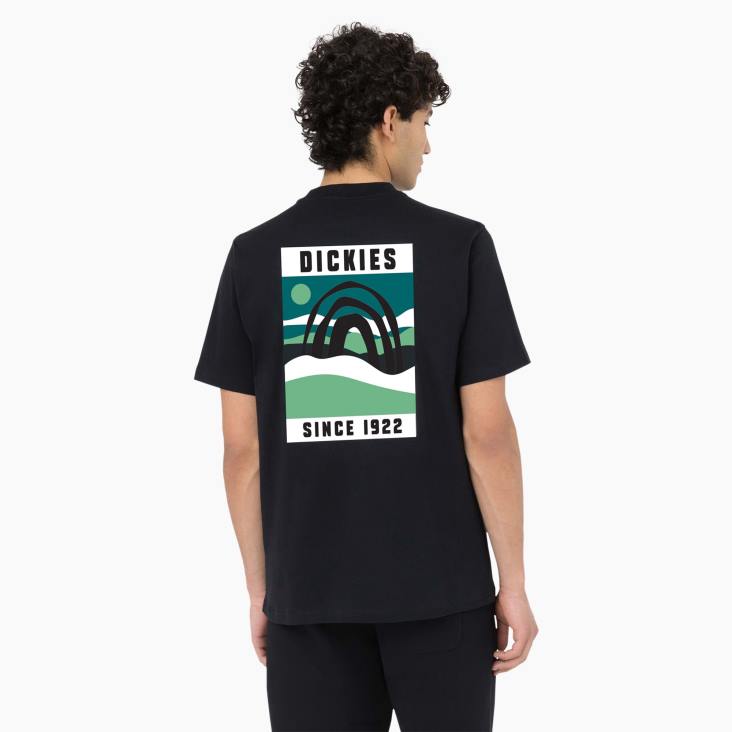Heren Dickies Baker City T-shirt met korte mouwen zwart (kbk) kleding 6F0X883