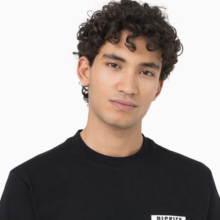 Heren Dickies Baker City T-shirt met korte mouwen zwart (kbk) kleding 6F0X883