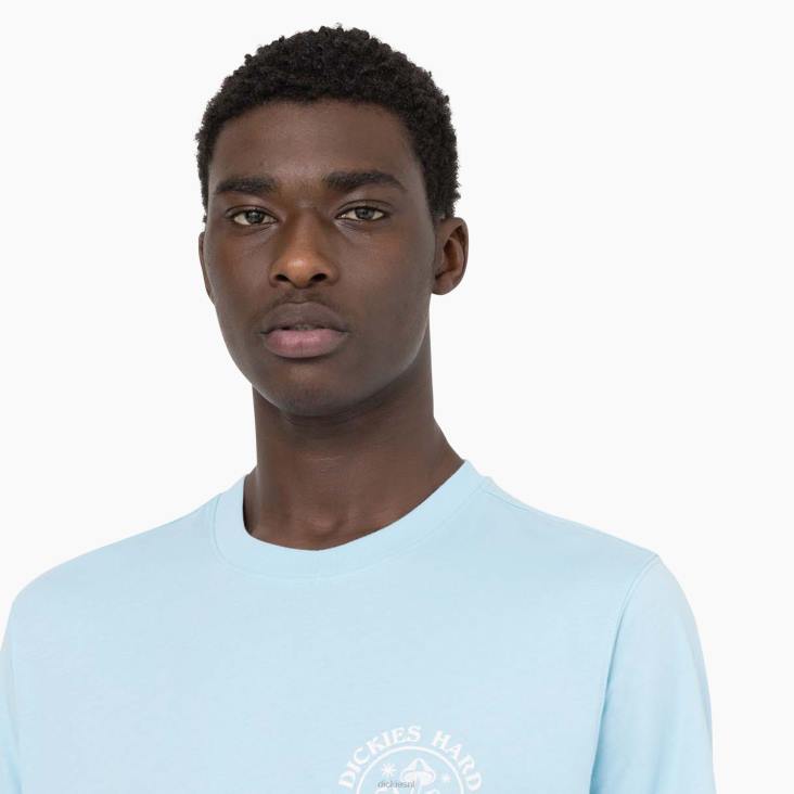 Heren Dickies Bayside Gardens T-shirt met korte mouwen hemelsblauw (su9) kleding 6F0X585