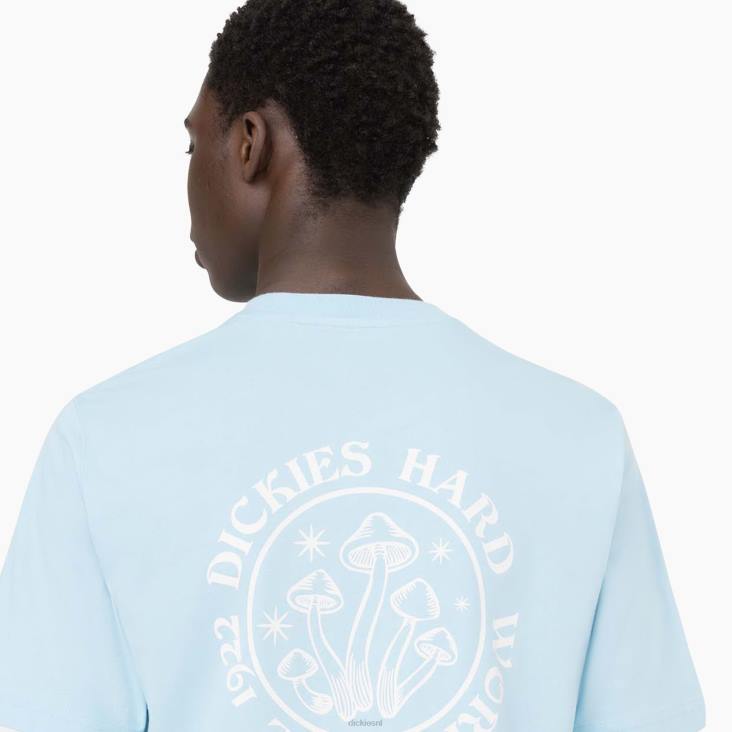 Heren Dickies Bayside Gardens T-shirt met korte mouwen hemelsblauw (su9) kleding 6F0X585