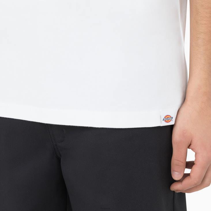 Heren Dickies Bayside Gardens T-shirt met korte mouwen wit (wh) kleding 6F0X586